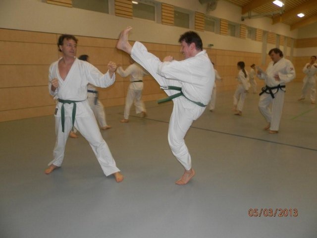 Taekwondo Training